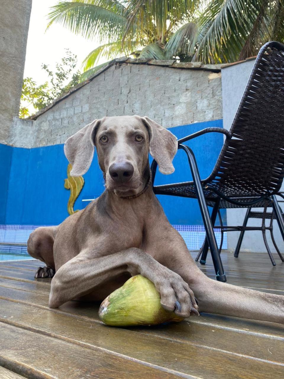 Casa Jaguar Buzios Suites A 3 Minutos Da Praia Geriba Экстерьер фото